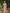 Kiara Dress Garden Floral