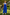 Ash Jumpsuit Royal Blue