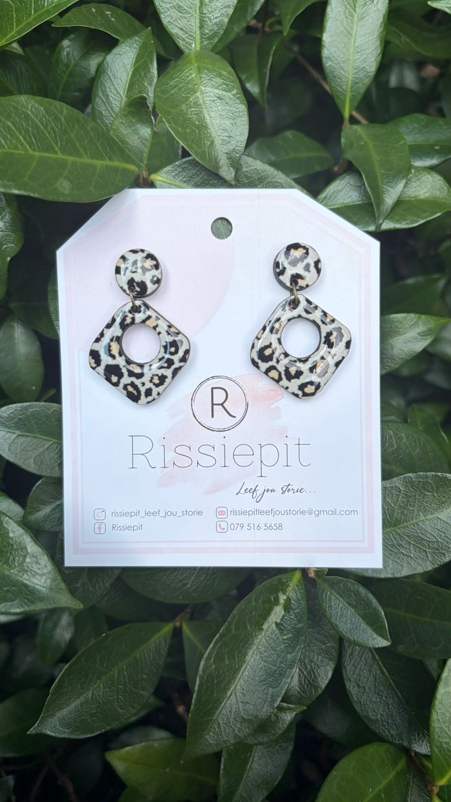 Rissiepit Leo Geo