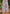 Kiara Dress Garden Floral